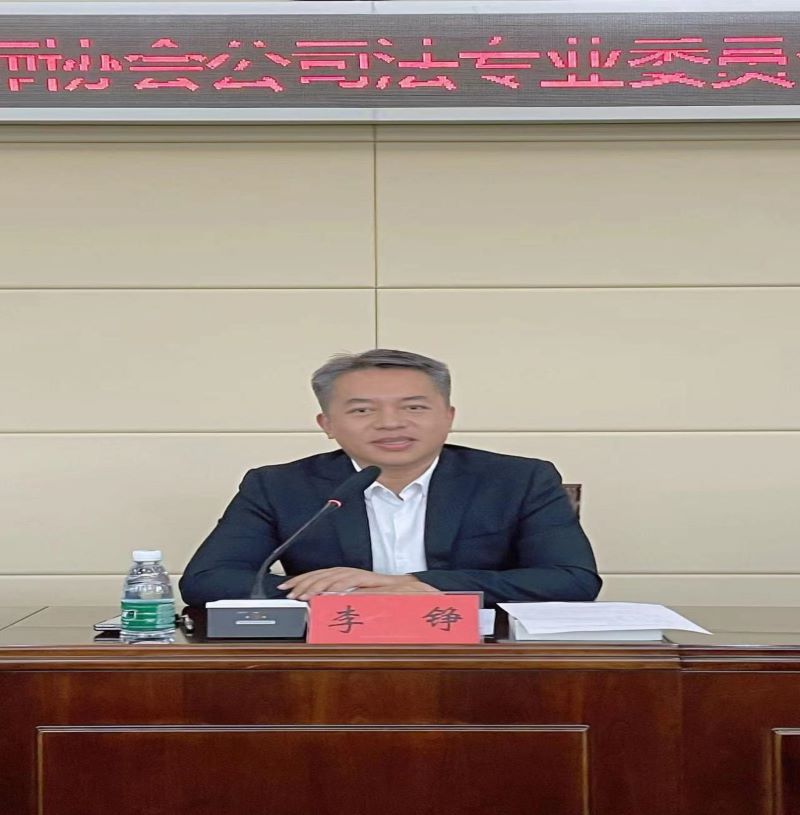 李铮副会长讲话  公司委成立会.jpg